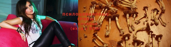 мет Елабуга