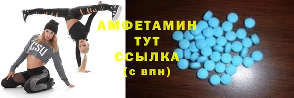 PSILOCYBIN Кирсанов