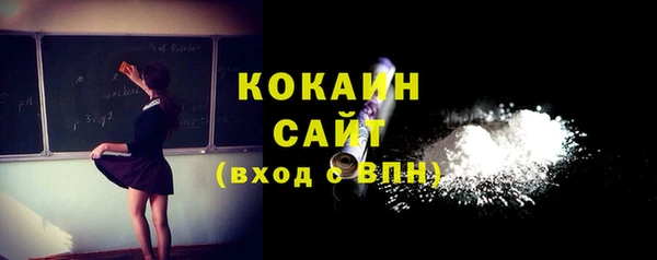 PSILOCYBIN Кирсанов