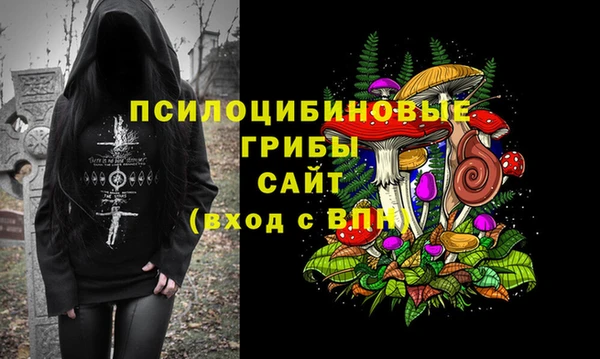 ALPHA PVP Осташков