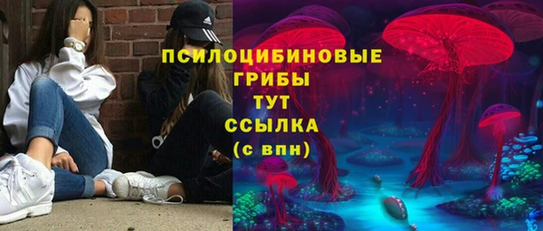 ALPHA PVP Осташков