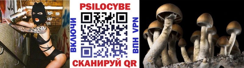 как найти   Сельцо  Псилоцибиновые грибы MAGIC MUSHROOMS 